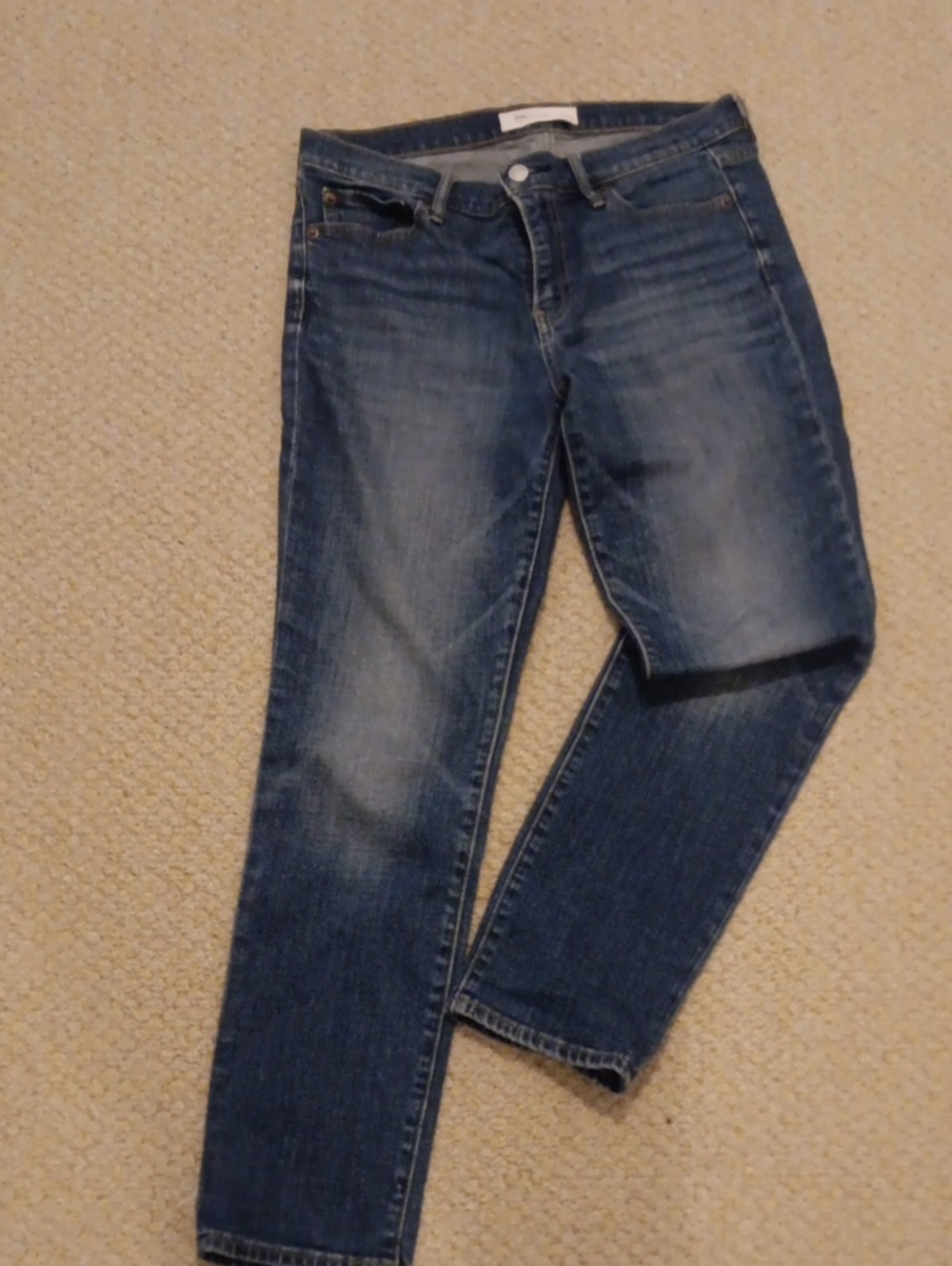 GAP Women's Dark Blue Real Straight